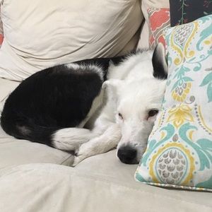 Meet your Posher, Leah